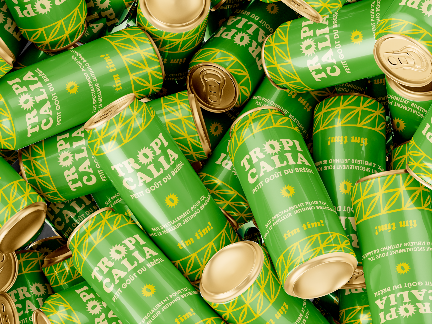 Tropicalia, aperçu du projet